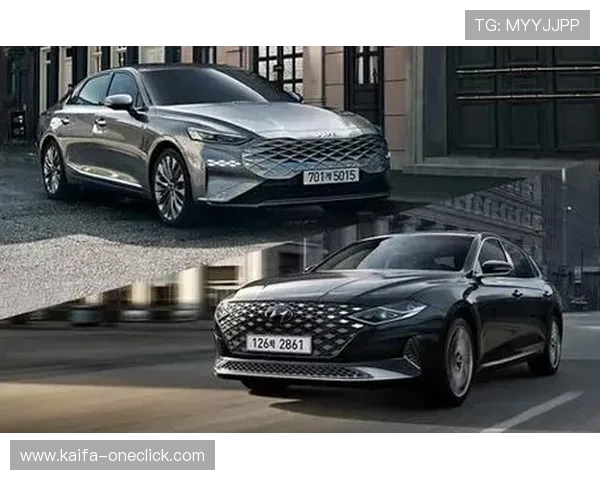 如何在K8亚洲官网进行有效的账号管理与个人信息保护措施